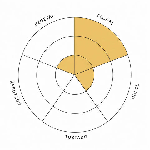 Gráfica de perfil de sabor del té verde jazmín con perfil floral y fresco